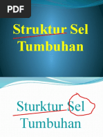 ppt botani