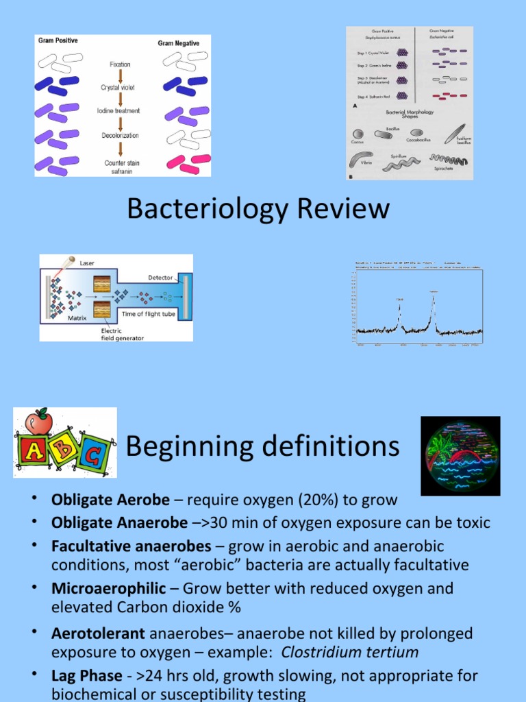 Bacteriology Review Gram Stains, Media, and Identification of Key Gram
