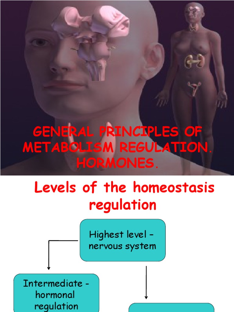 Regulation of Metabolism Through Hormonal Control: An Overview of the ...