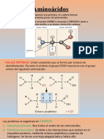 Amino Ácid Os
