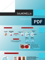 Grupo 4 Salmonella