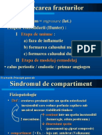 Fracturile de Patela (Completare)