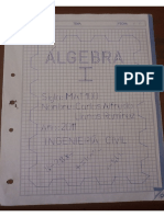 Apuntes de Algebra 1