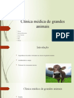 Clínica Médica de Grandes Animais