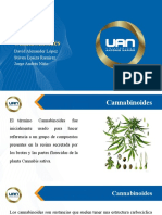 Cannabinoides Exposición