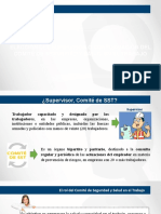 Charlas de Asesoria - Comite o Supervisor SST - VF