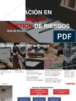 Área de Gestión de Riesgos - Enero 2021 Red Comercial