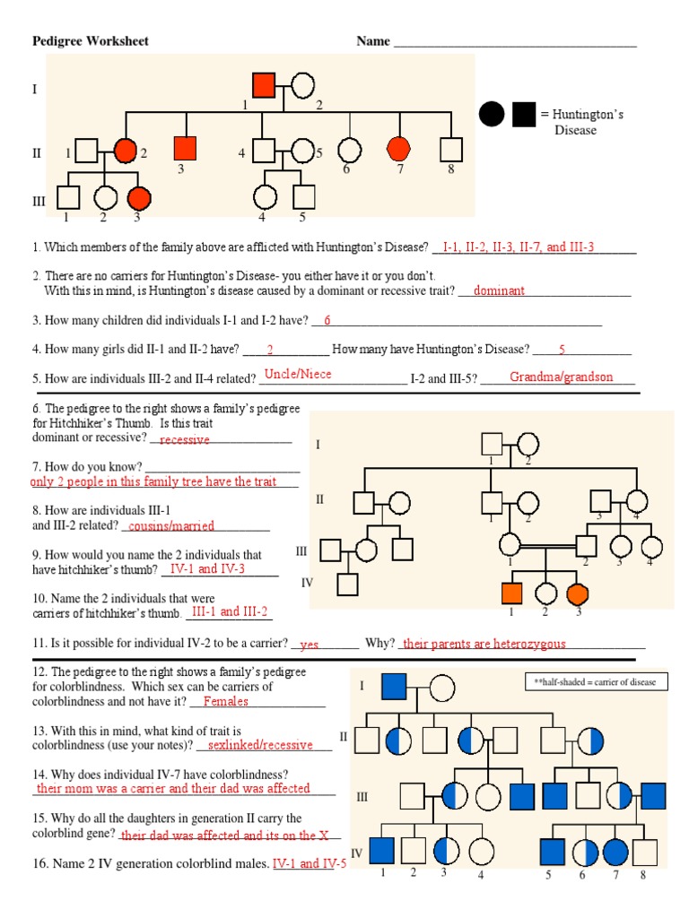 kami-export-omarion-fladger-pedigree-genetics-problems-pdf-zygosity-dominance-genetics