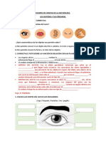 Prueba Cnat. Los Sentidos 3º Primaria