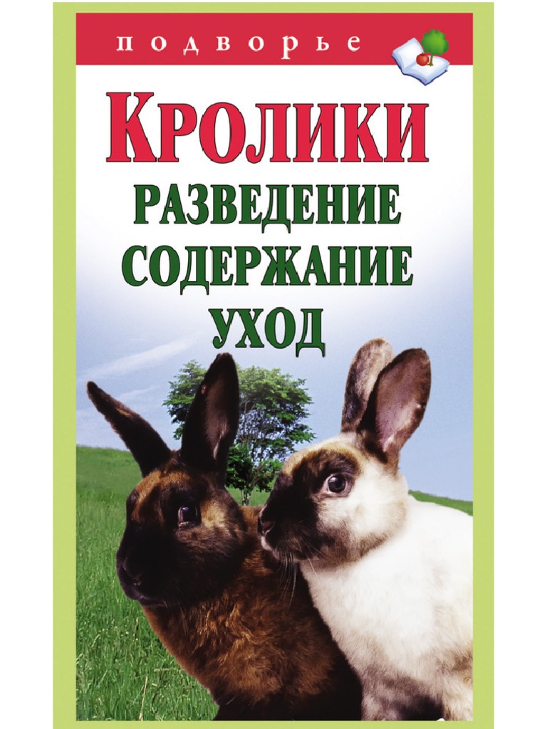 Основные требования к содержанию пушистых кроликов