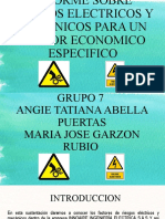 Sustentacion de Informe Sobre Riesgos Electricos y Mecanico para Un Sector Economico Especifico