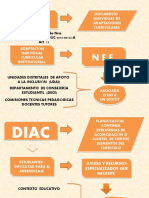 DIAC adaptación individual curricular