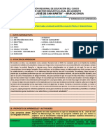 3° Experiencia de Aprendizaje Ciclo VI