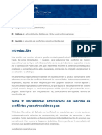 Solución de Conflictos y Construcción de Paz