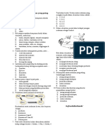 10 Soal PG Ekologi