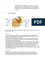 Sistem Reproduksi Manusia (Nazwa Aksani E. XI MIPA 5)