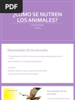Cómo Se Nutren Los Animales