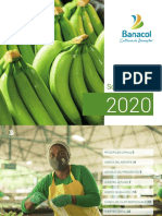 Informe 2020 Banano