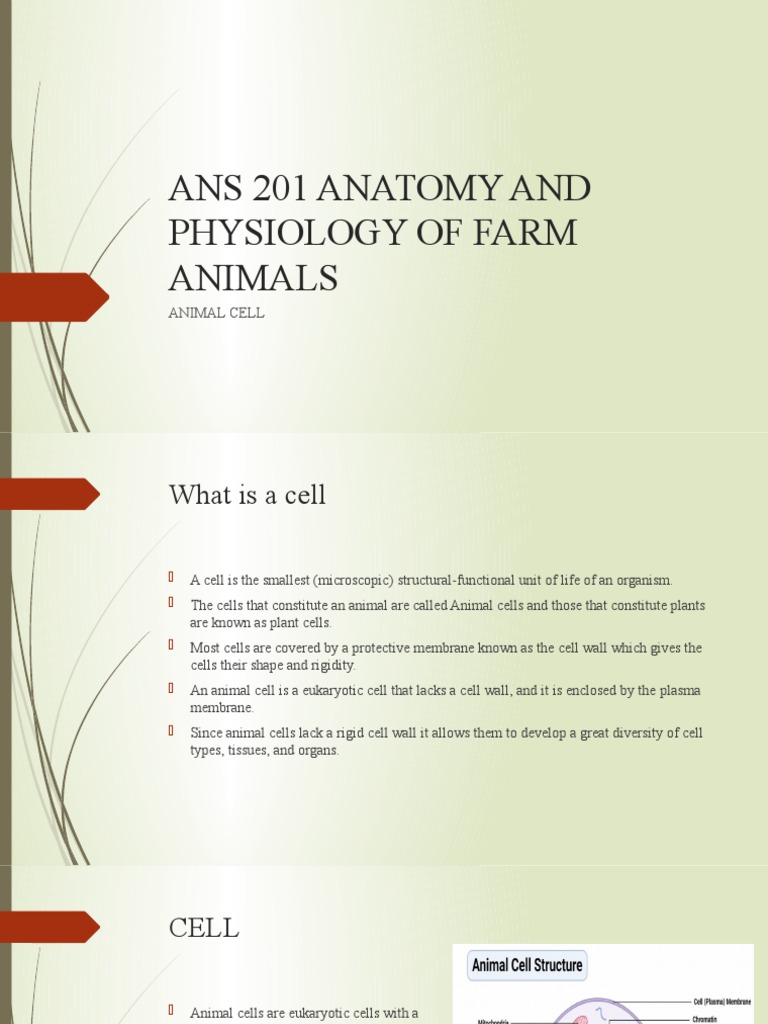 Anatomy visual data 2