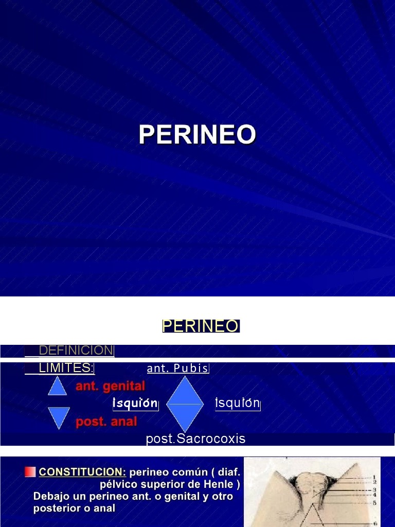 Perineo | PDF