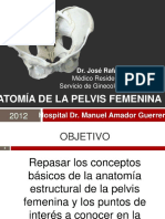 Anatomia de La Pelvis