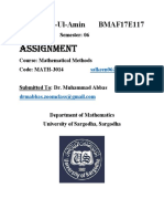 Assignment: Hafiz Noor-Ul-Amin BMAF17E117