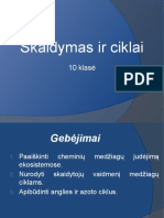 10 Kl. Skaidymas Ir Ciklai