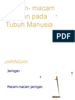 Jaringan