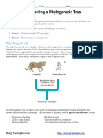 Constructing A Phylogenetic Tree