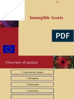 Intangible Assets Slides - Final