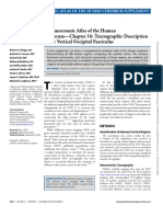 Chapter 16 - Tractographic Description of The Vertical Occipital Fasciculus