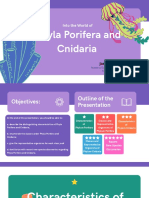 Report in Systematics (Phylum Porifera and Phylum Cnidaria)