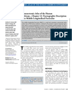 Chapter 12 - Tractographic Description of The Middle Longitudinal Fasciculus