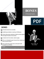 4 Bones Report