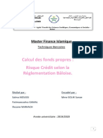 Calcul Des Fonds Propres Risque Credit (Enregistré Automatiquement)