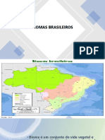 BIOMAS BRASILEIROS slides