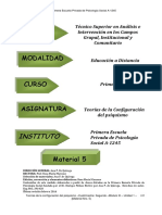 Teorias de La Configuracion Del Psiquismo Material 5