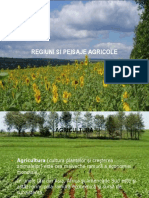 Regiuni Si Peisaje Agricole