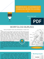 MORFOLOGI DAN ANATOMI BURUNG