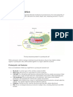 Prokaryote Definition: Prokaryotic Cell Features