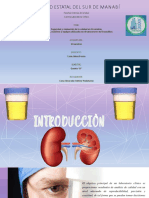 CanoA - Consulta1 - Seguridad y Evaluaciòn de Calidad en Uroanàlisis