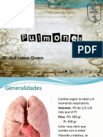 Pulmones 131220170341 Phpapp01