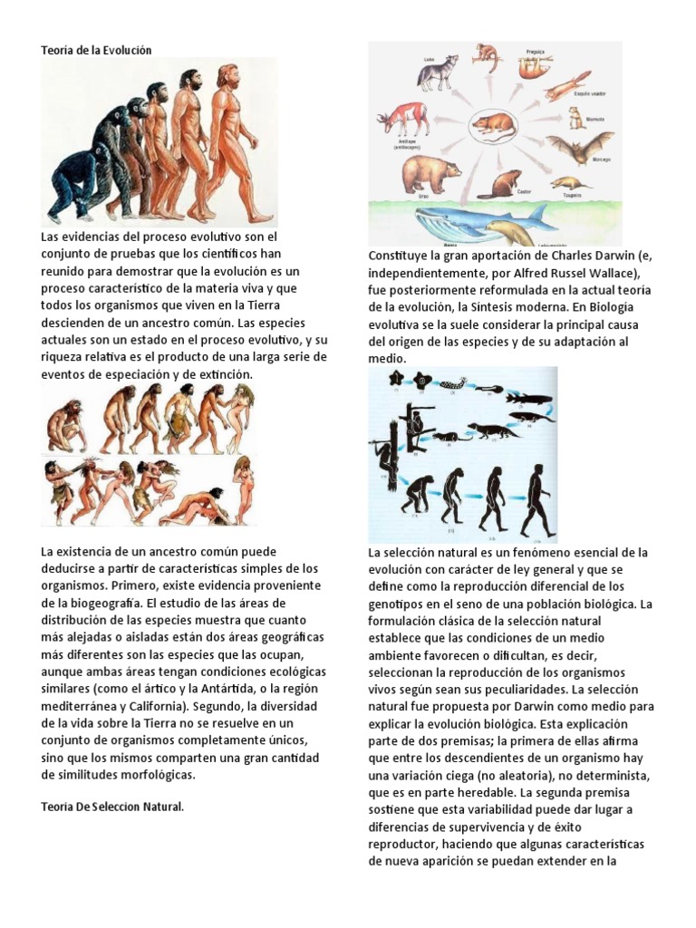 Teoría de La Evolución Todas | PDF | Evolución | Seleccion natural
