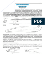 Order Anguilliformes Anguillidae: 1630 Bony Fishes