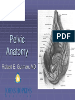 Pelvic Anatomy for Resident