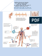 Infografia Oswaldo Rincones 3ero Seccion C Signo Vitales