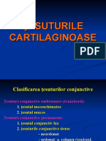 Lp Mg 5 Tesuturi Cartilaginoase