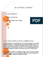 La Contaminación Ambiental