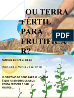 Terreno fértil para frutificar