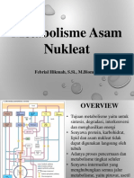 Pertemuan 11-Metabolisme Asam Nukleat